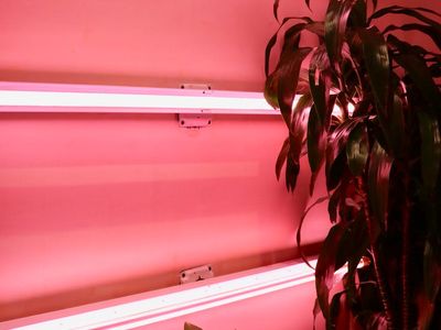 Minimalist interior with soft cyan neon lighting setup